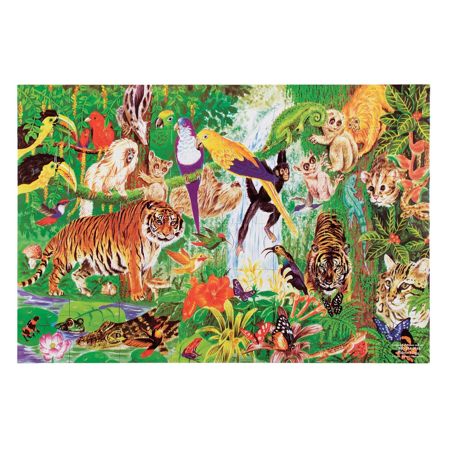 Rainforest Floor Puzzle - 48 Pieces